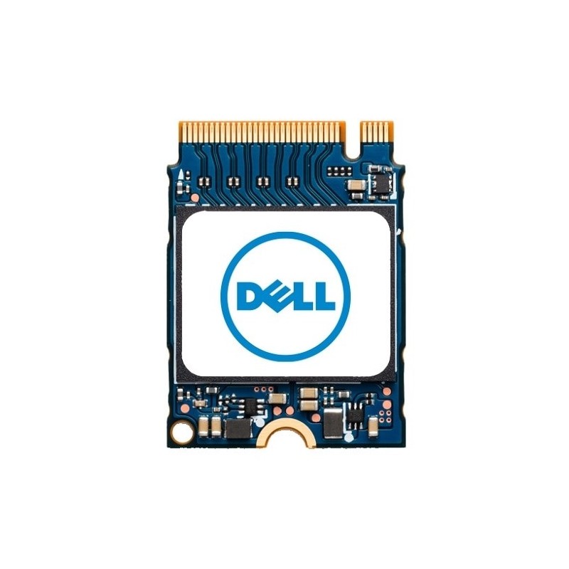 DELL AB673817 drives allo stato solido M2 1000 GB PCI Express NVMe