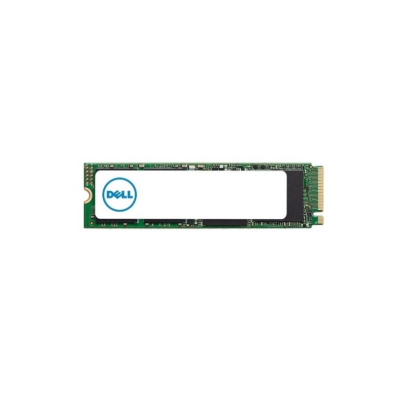 DELL AB821357 drives allo stato solido M2 1 TB PCI Express 30 NVMe