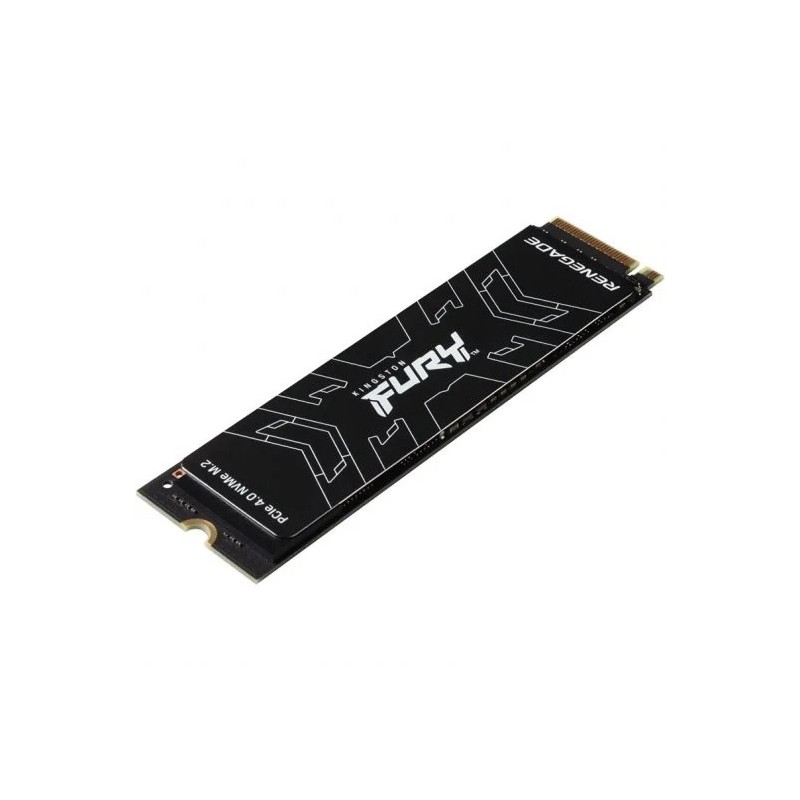 FURY Renegade 1000GB PCIe 40