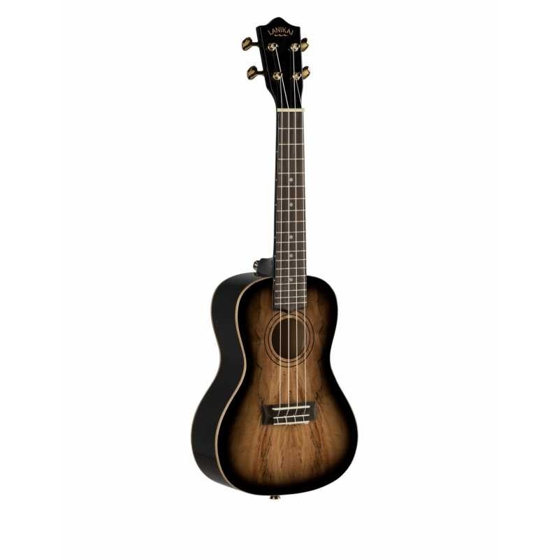 SMBB-CX UKULELE CONCERTO SPALTED MAPLE