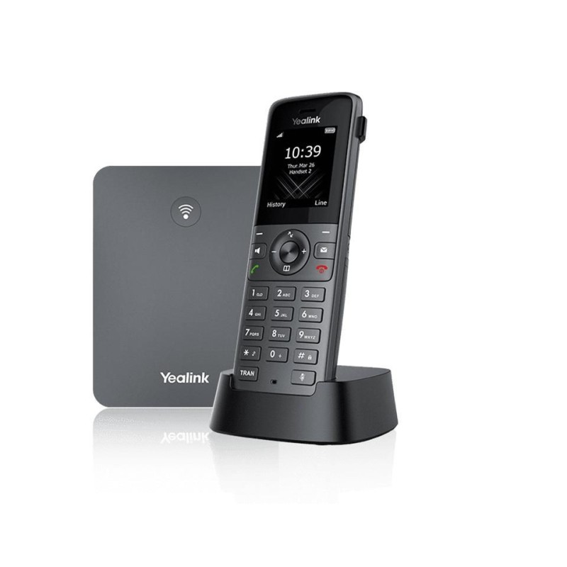 W73P IP phone Grey TFT