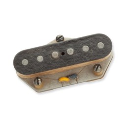 ANTQ FOR TELECASTER BR