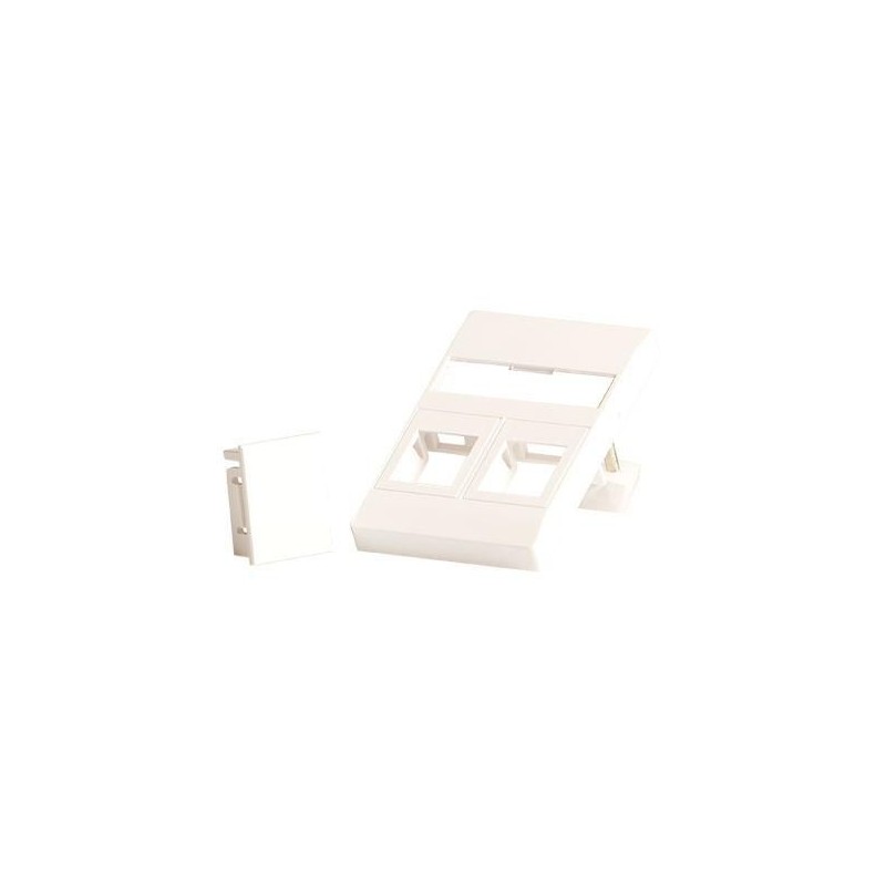 Wall plate for 2 x keystone - Fits 50x75 mm FUGA outlet - white - W