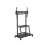 Mobile floor stand up to VESA