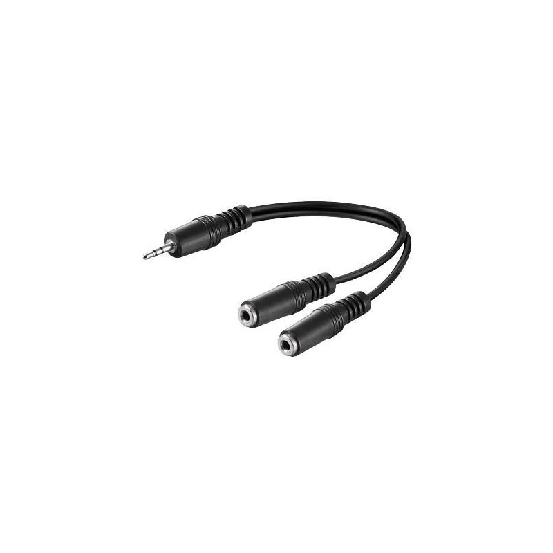 35mm Minijack Y Cable 02m