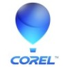 Corel CASL, Level 3, 3Y Accademico 3 anno/i