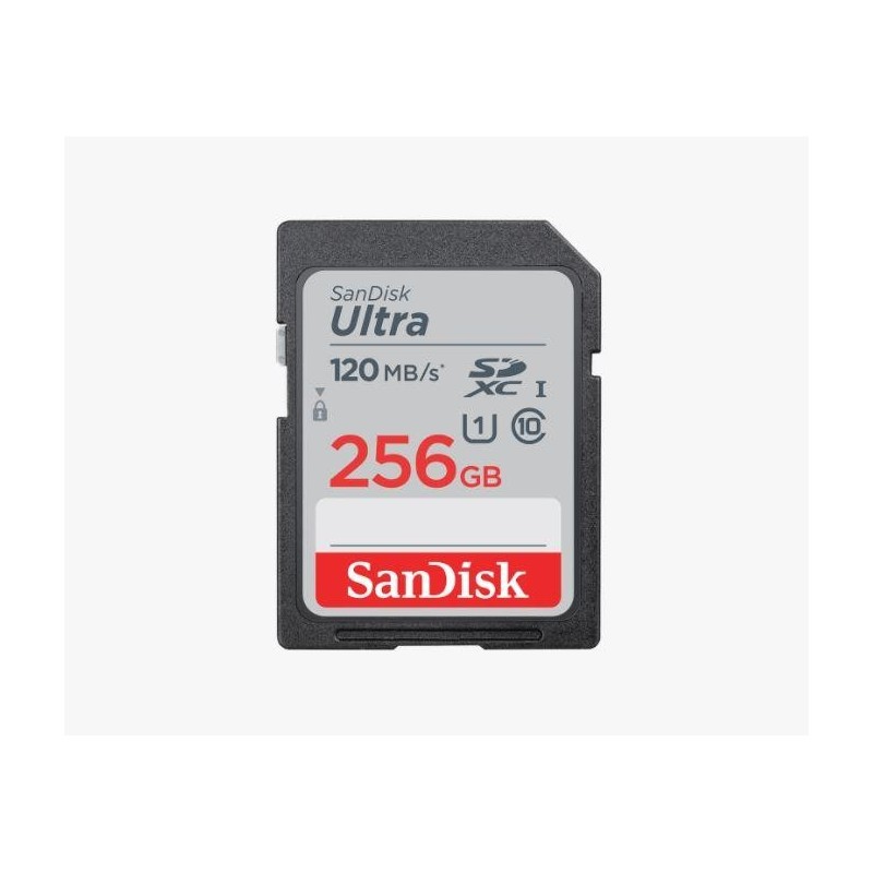 SanDisk Ultra 256 GB SDXC Classe 10 (SanDisk Ultra 256GB SDXC Memory 