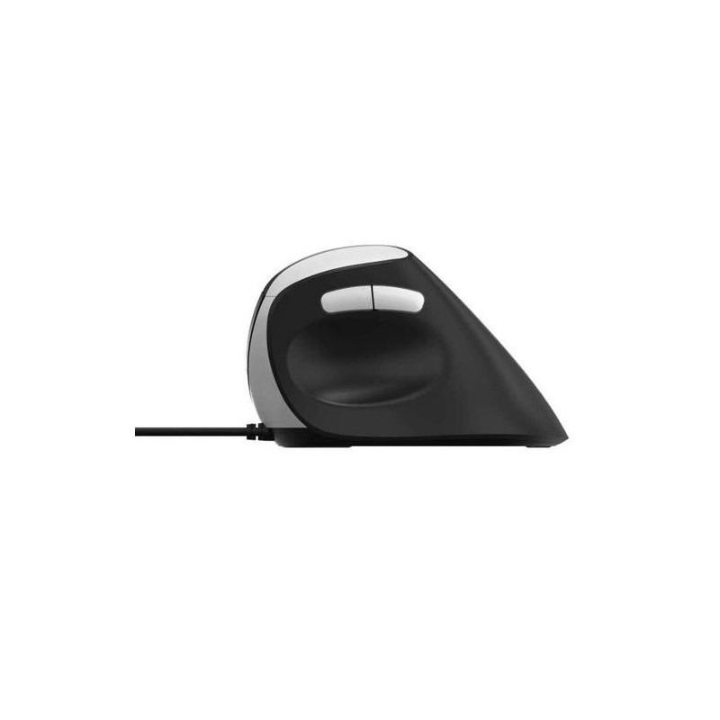 Rapoo EV200 mouse Mano destra USB tipo A Ottico 1600 DPI