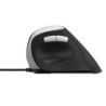 Rapoo EV200 mouse Mano destra USB tipo A Ottico 1600 DPI