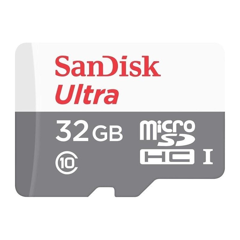 SanDisk SDSQUNR-032G-GN3MN memoria flash 32 GB MicroSDHC Classe 10 3