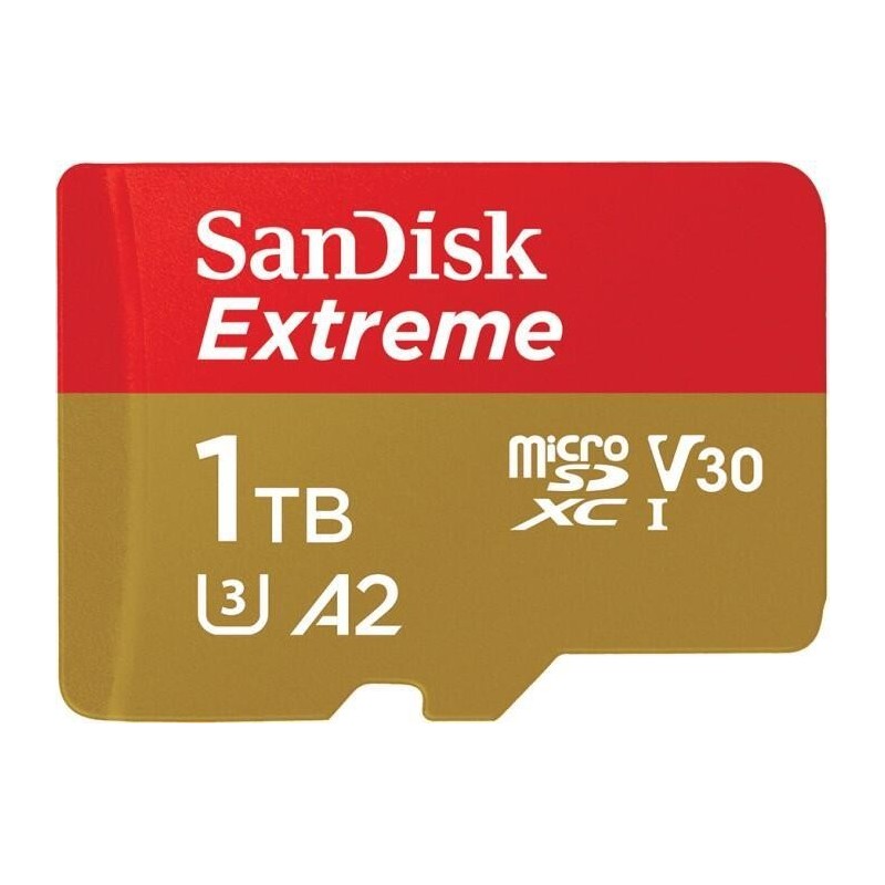 SanDisk Extreme 1024 GB MicroSDXC UHS-I Classe 3 SanDisk Extreme - F