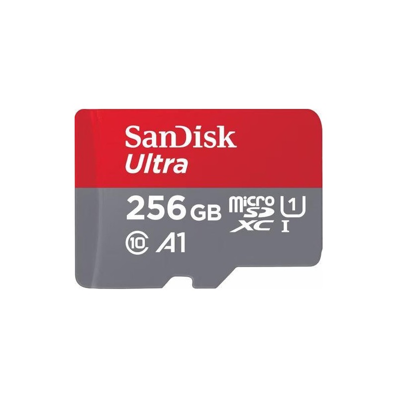 SanDisk Ultra 256 GB MicroSDXC UHS-I Classe 10 SanDisk Ultra - Flash