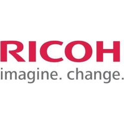 Ricoh Garment Ink Tipo A XL Schwarz 440 ml per RI 3000 RI 6000