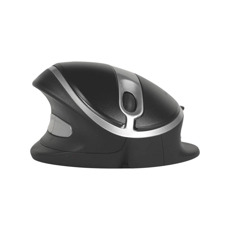 Oyster Mouse Ambidextrous Usb