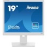 IIYAMA PROLITE B1980D 48CM WEI&szlig; 19&#039;&#039;/1280X1024/DVI/VGA/PIVOT/H&Ouml;V