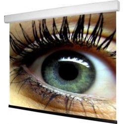 WS S NewMot Aufpro 4:3 350x263 cm, BL Homevision 1.0 Gain