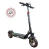 Zwheel ZRino SE Patinete Electrico Motor 600W - Suspension Delantera 