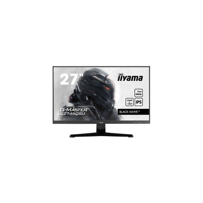 ECRAN IIYAMA 27&#039;&#039; G-MASTER BLACK HAWK IPS 2560X1440 16:9 1MS 100HZ 25