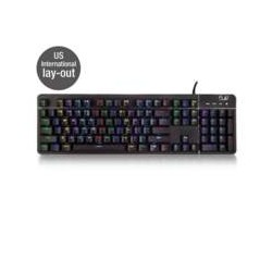 Ewent PL3350 toetsenbord USB QWERTY Engels Zwart/ RGB