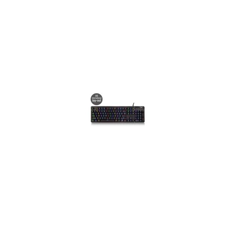 Ewent PL3350 toetsenbord USB QWERTY Engels Zwart/ RGB