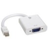 V7 Adaptador blanco de v&Atilde;&shy;deo con conector Mini DisplayPort macho a