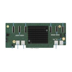 Intel 2U Midplane Piastra di prolunga (Intel NVMe Midplane Card f. M5