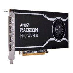 AMD Radeon Pro W7500 - Graphics card - Radeon Pro W7500 - 8 GB GDDR6