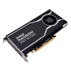 AMD Radeon Pro W7500 - Graphics card - Radeon Pro W7500 - 8 GB GDDR6