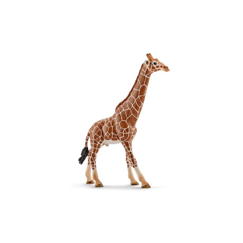 schleich WILD LIFE 14749 action figure giocattolo