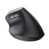 BAYO II ERGONOMIC WIRELESS MOUS - MOUSE