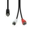 Mini-Jack 3-Pin to 2 x RCA Cable M-M Black 2M