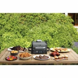 Ninja Woodfire Outdoor Grill