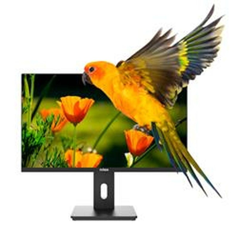 MONITOR 24 REG VA HDMI DP MULTIM