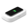 Belkin BOOST CHARGE Tr&Atilde;&yen;dl&Atilde;&cedil;s opladningspude 10Watt 24 pin USB-C