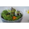 Clementoni Terrarium Harry Potter 19248