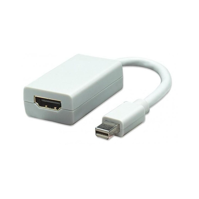 TECHly Videoadapter DisplayPort / HDMI 15cm Hvid