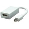 TECHly Videoadapter DisplayPort / HDMI 15cm Hvid