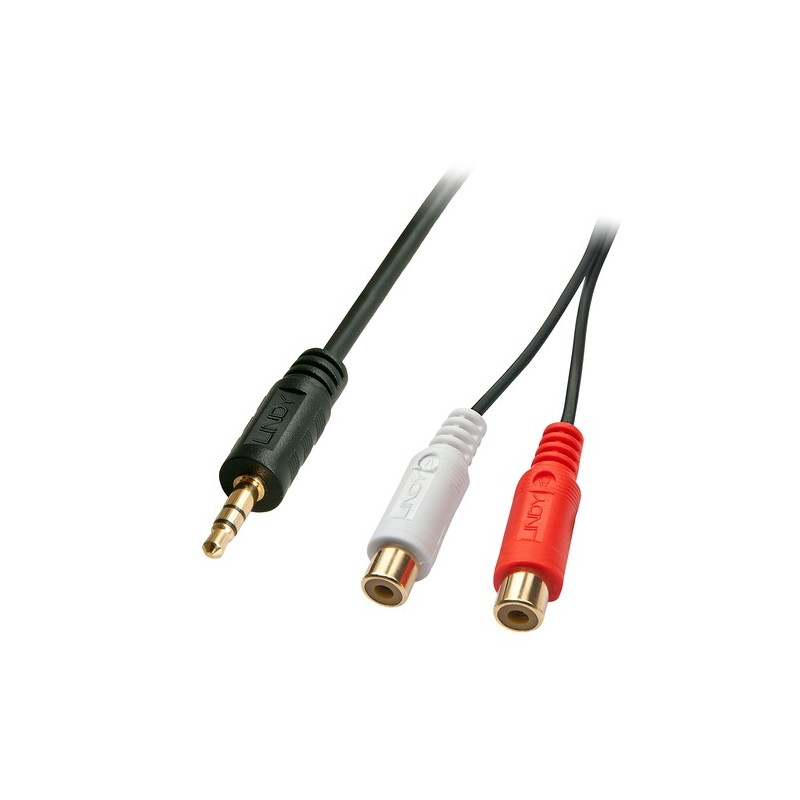 Lindy 35678 cavo audio 025 m 2 x RCA 35mm Nero Rosso Bianco