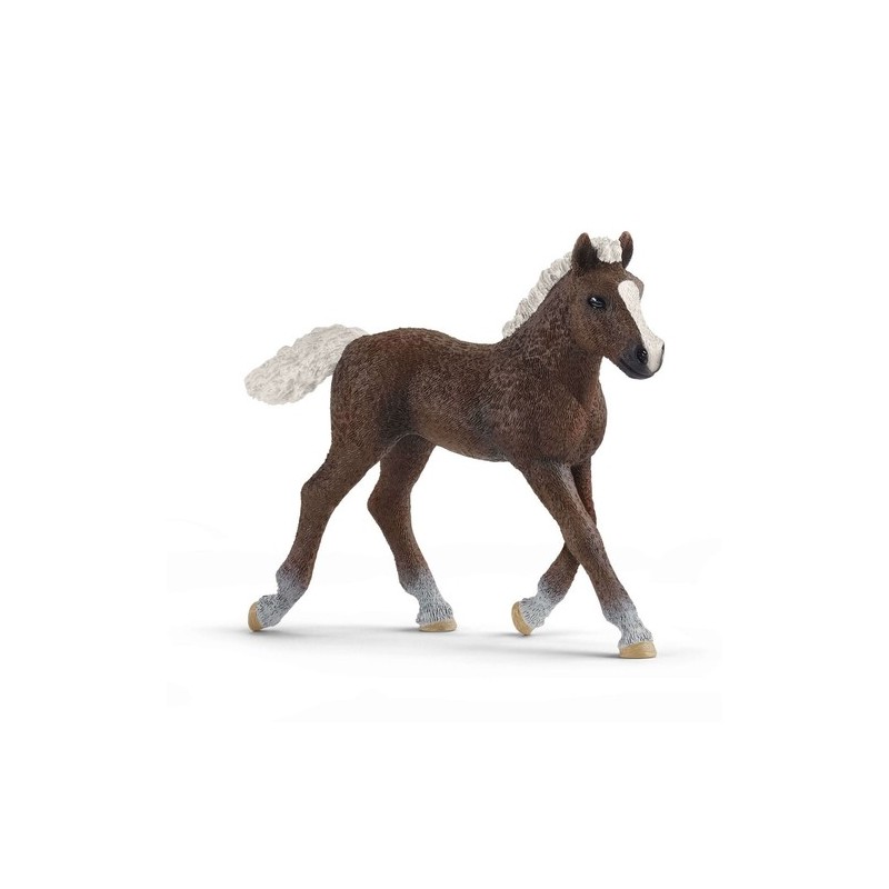 schleich Farm World 13899 action figure giocattolo