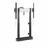 RISE 2005 MOTORIZED DISPLAY - LIFT FLOOR/WALL 50 B EU