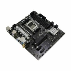 Biostar Placa Base A620MP-E Pro mATX AM5