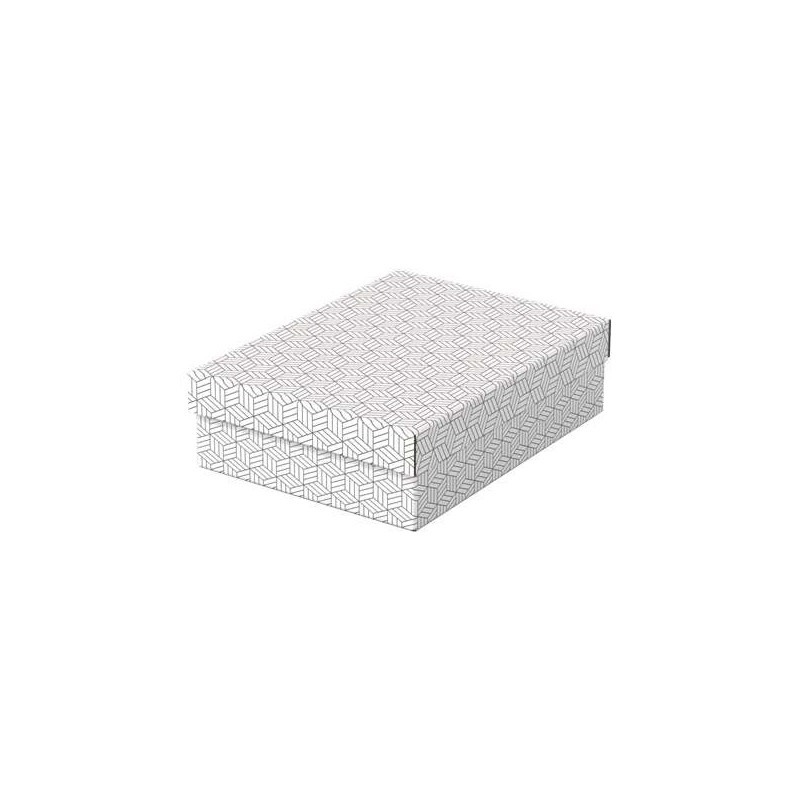 Esselte Pack de 3 Cajas Medianas de Almacenamiento con Tapa 265x100x3