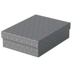 Esselte Pack de 3 Cajas Medianas de Almacenamiento con Tapa 265x100x3