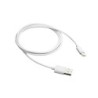 Usb Cable 1 M Usb 2.0 Usb C