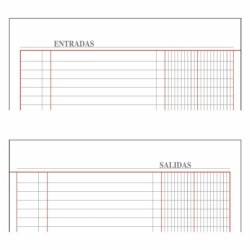 Scatola per libri contabili DOHE - Follio naturale - Legatura in tess