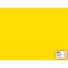 APPI Cartoncino Giallo 50 x 65 cm 170G 25 fogli