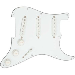 STK-S10PGD YJM FURY PG ASSY WHITE