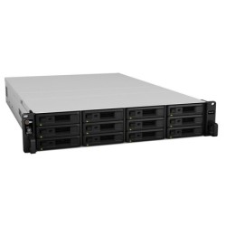 Box di Espansione Synology Rack (2 U) RX1217 48TB (12x4TB) HDD NS - C