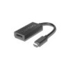 Lenovo 4X90Q93303 adattatore grafico USB Nero