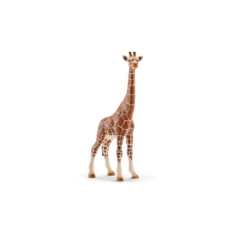 schleich WILD LIFE 14750 action figure giocattolo